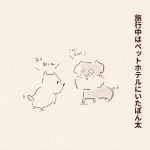 旅行中に愛犬が…①