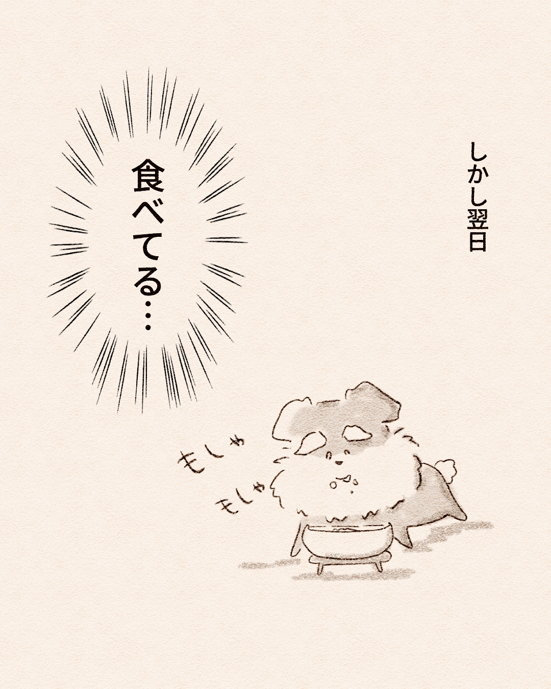 旅行中に愛犬が…⑦